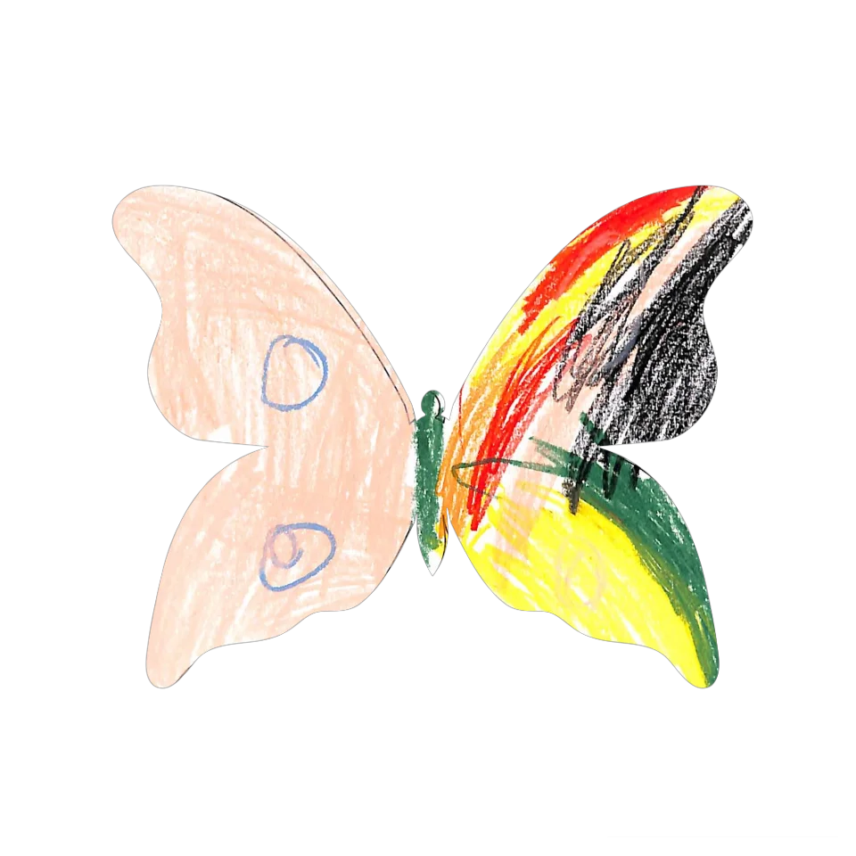 Original Butterfly Image