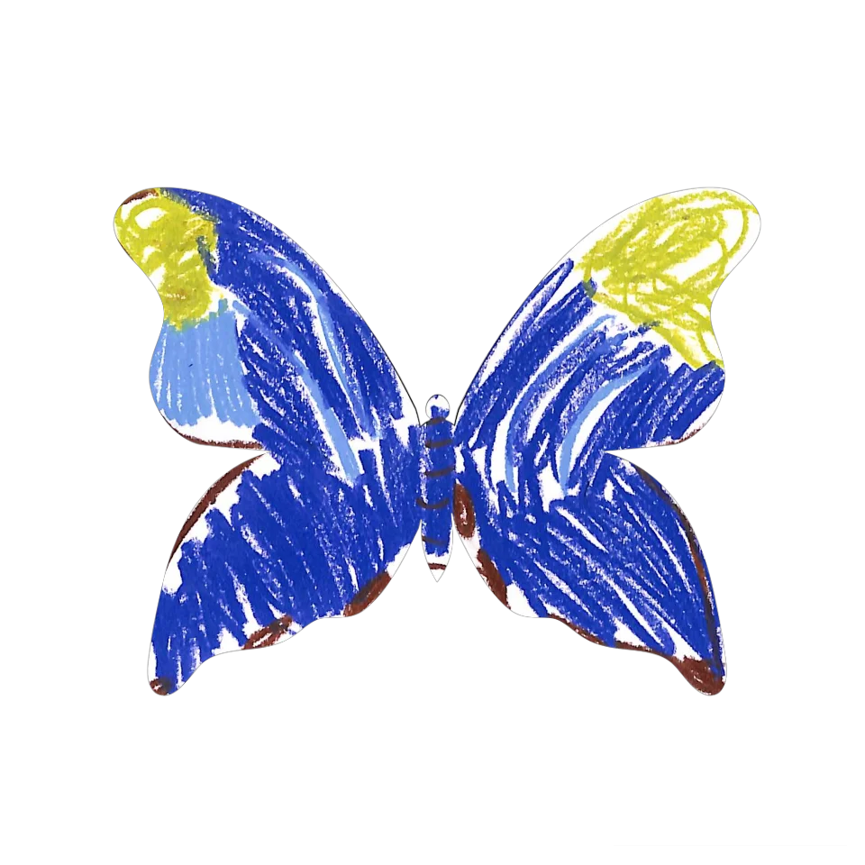 Original Butterfly Image