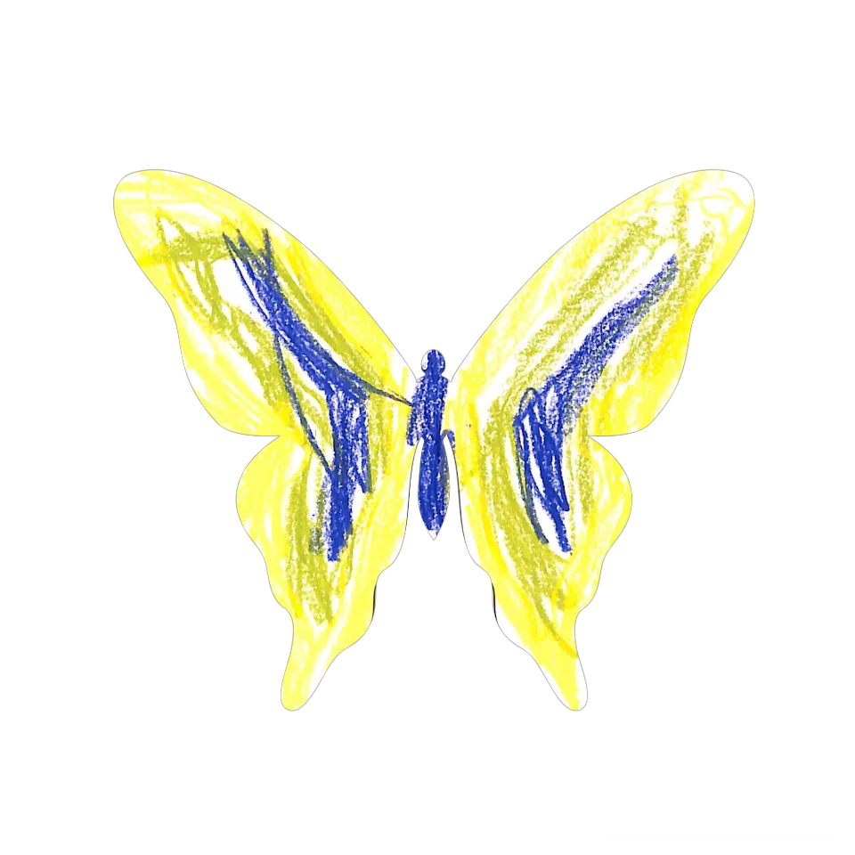 Original Butterfly Image