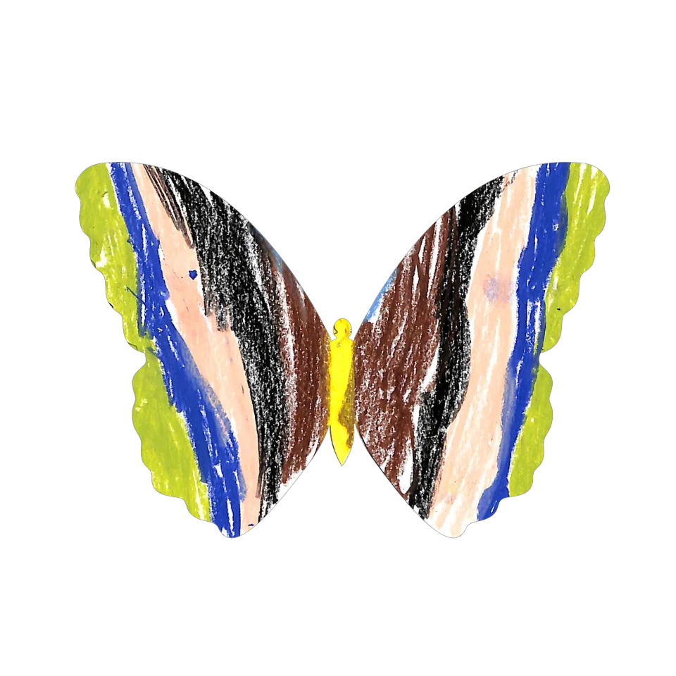 Original Butterfly Image