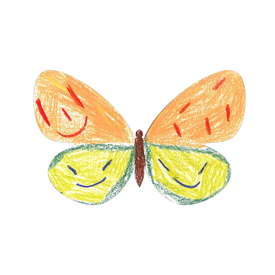 Original Butterfly Image