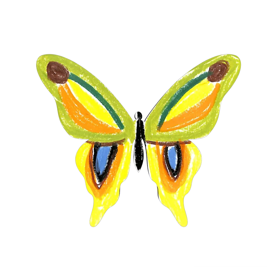 Original Butterfly Image