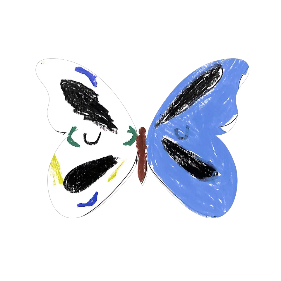 Original Butterfly Image