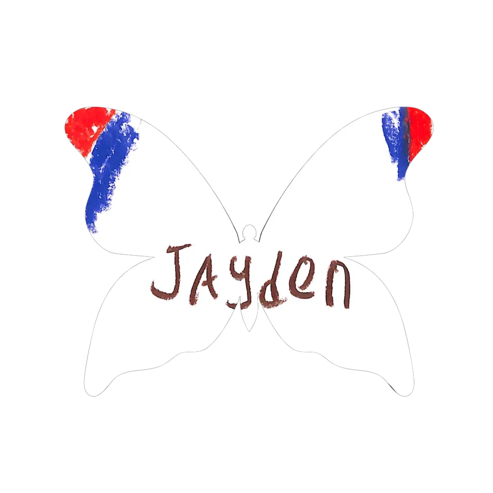 Original Butterfly Image