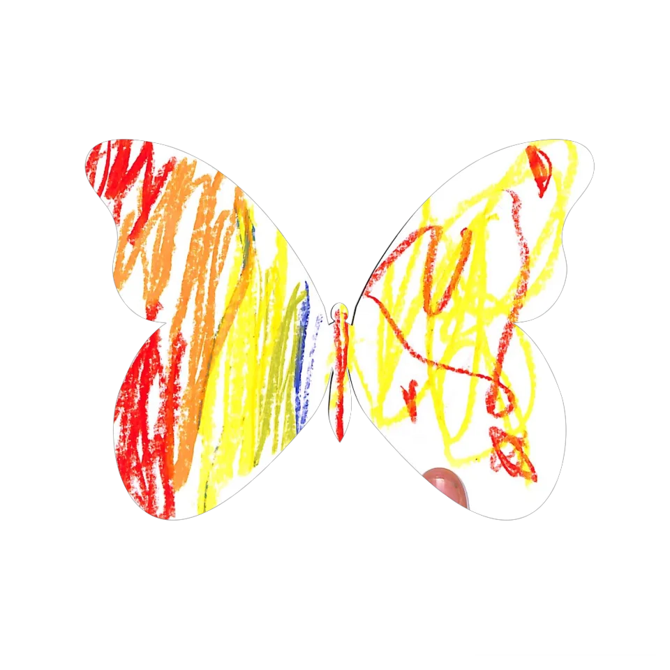 Original Butterfly Image