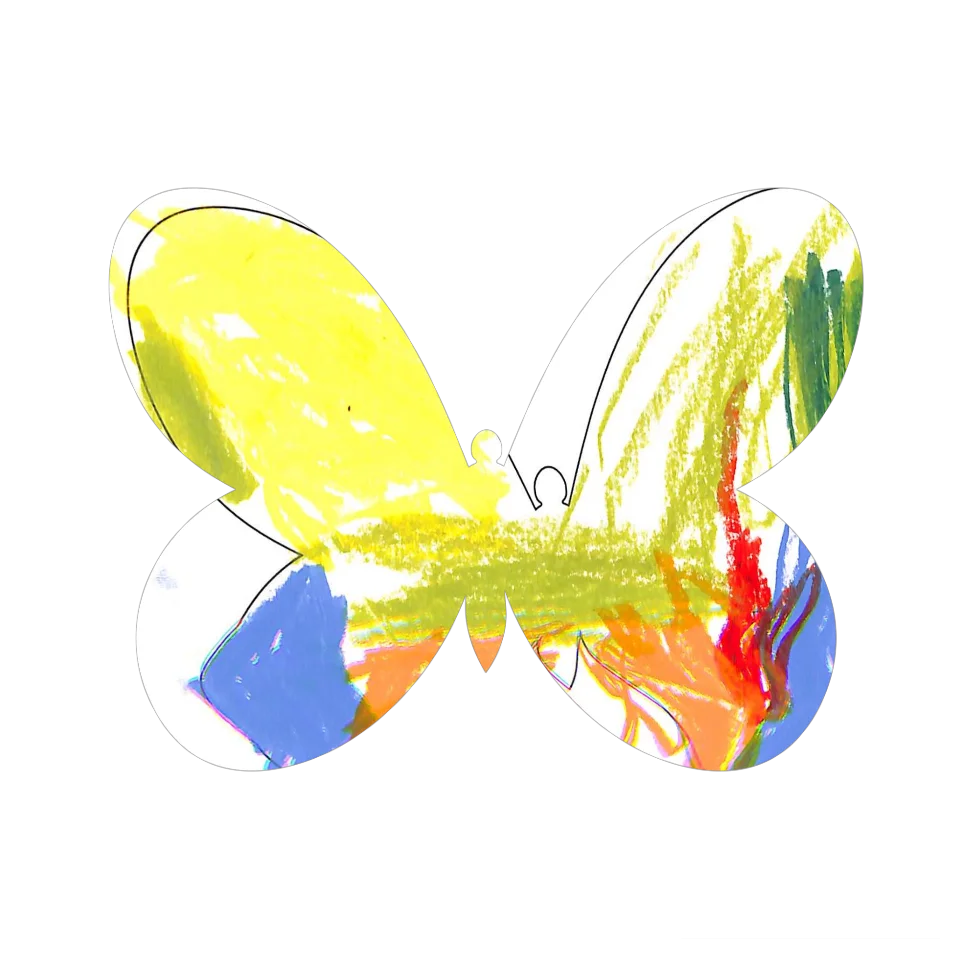Original Butterfly Image