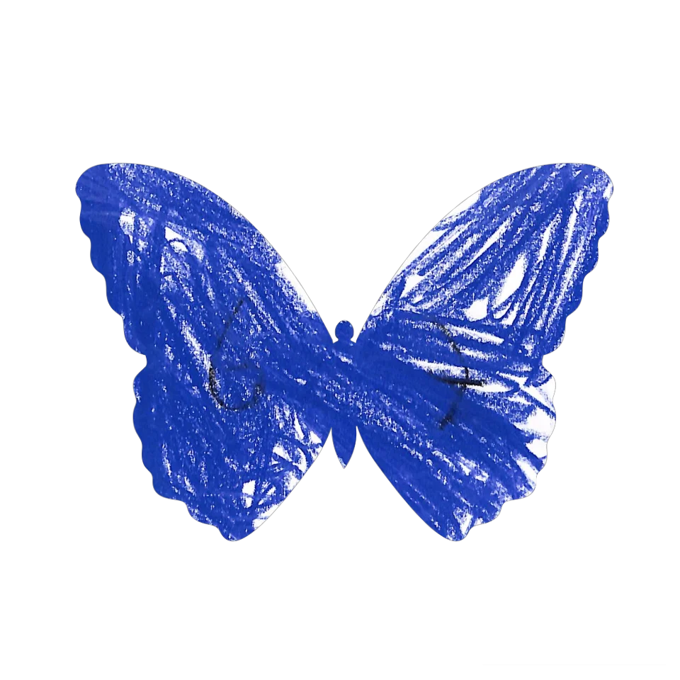 Original Butterfly Image