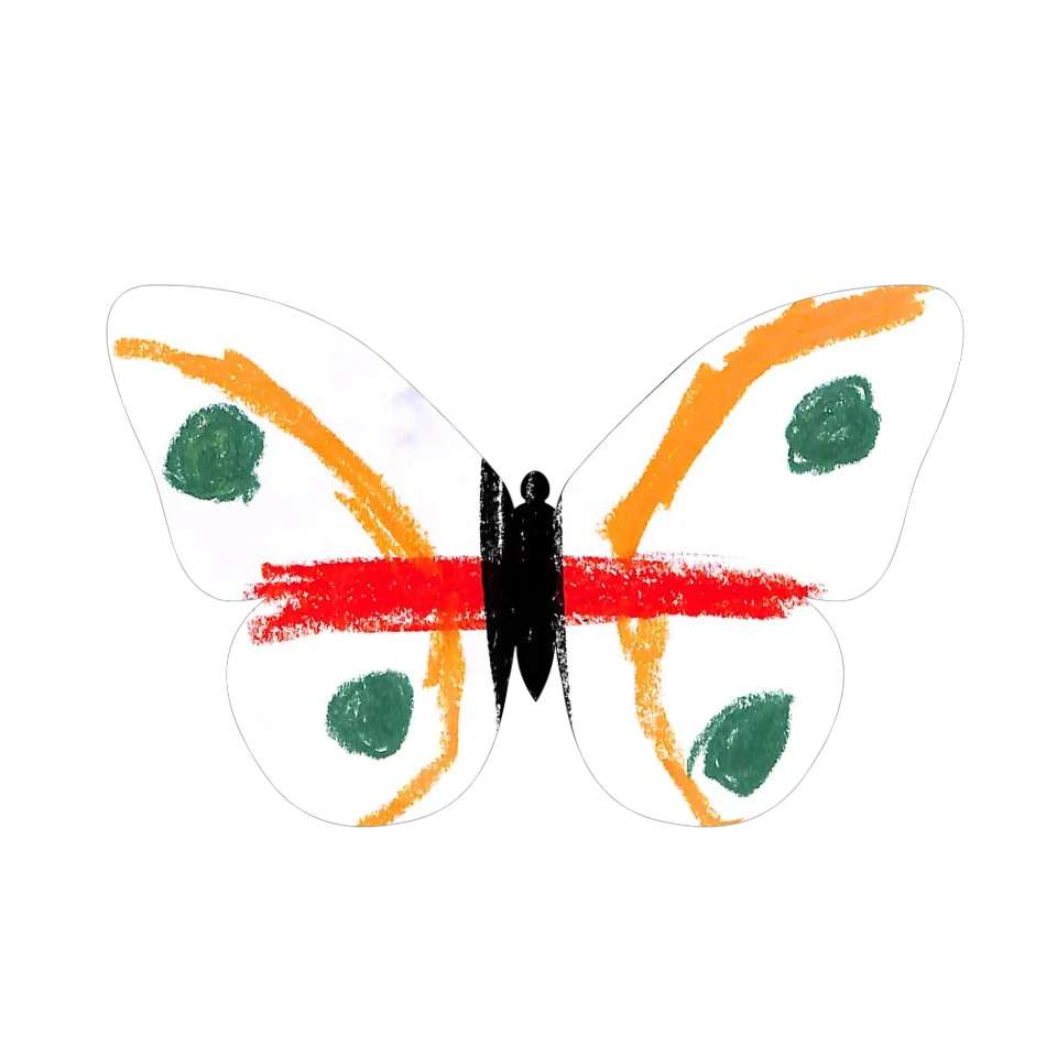 Original Butterfly Image