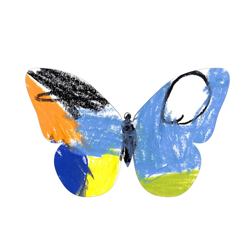 Original Butterfly Image