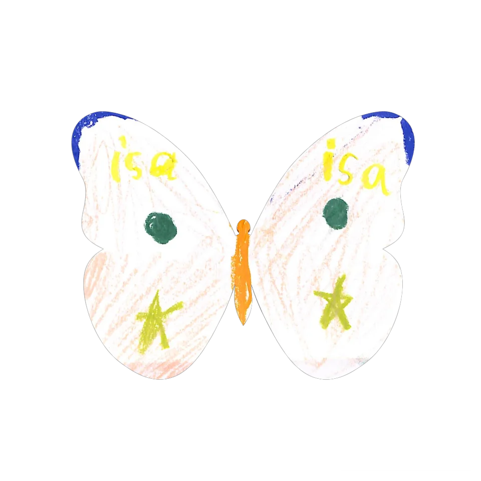 Original Butterfly Image