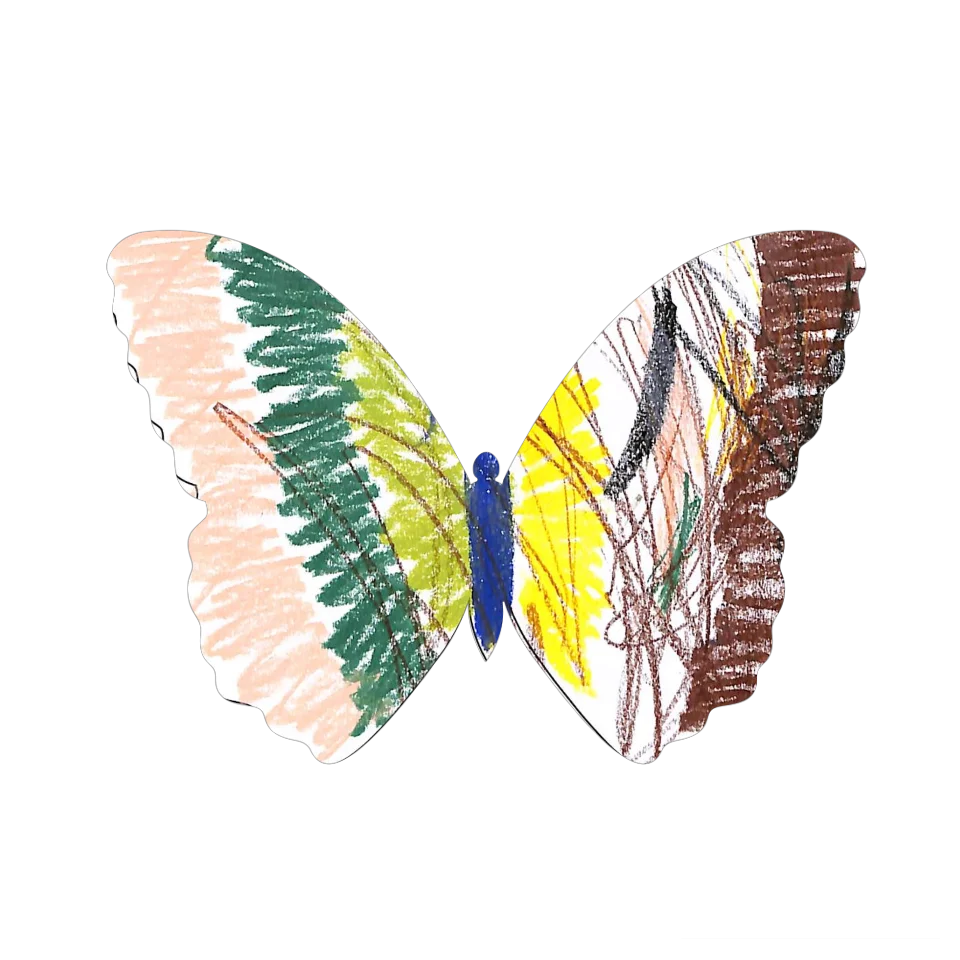 Original Butterfly Image