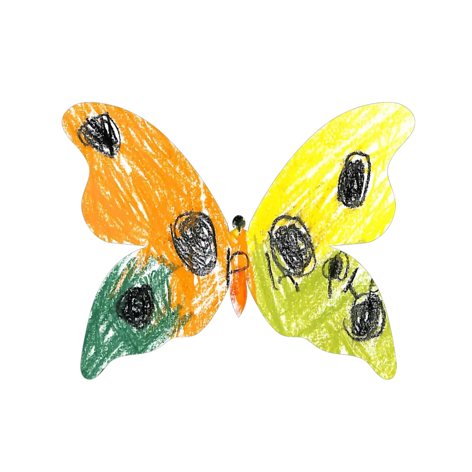 Original Butterfly Image