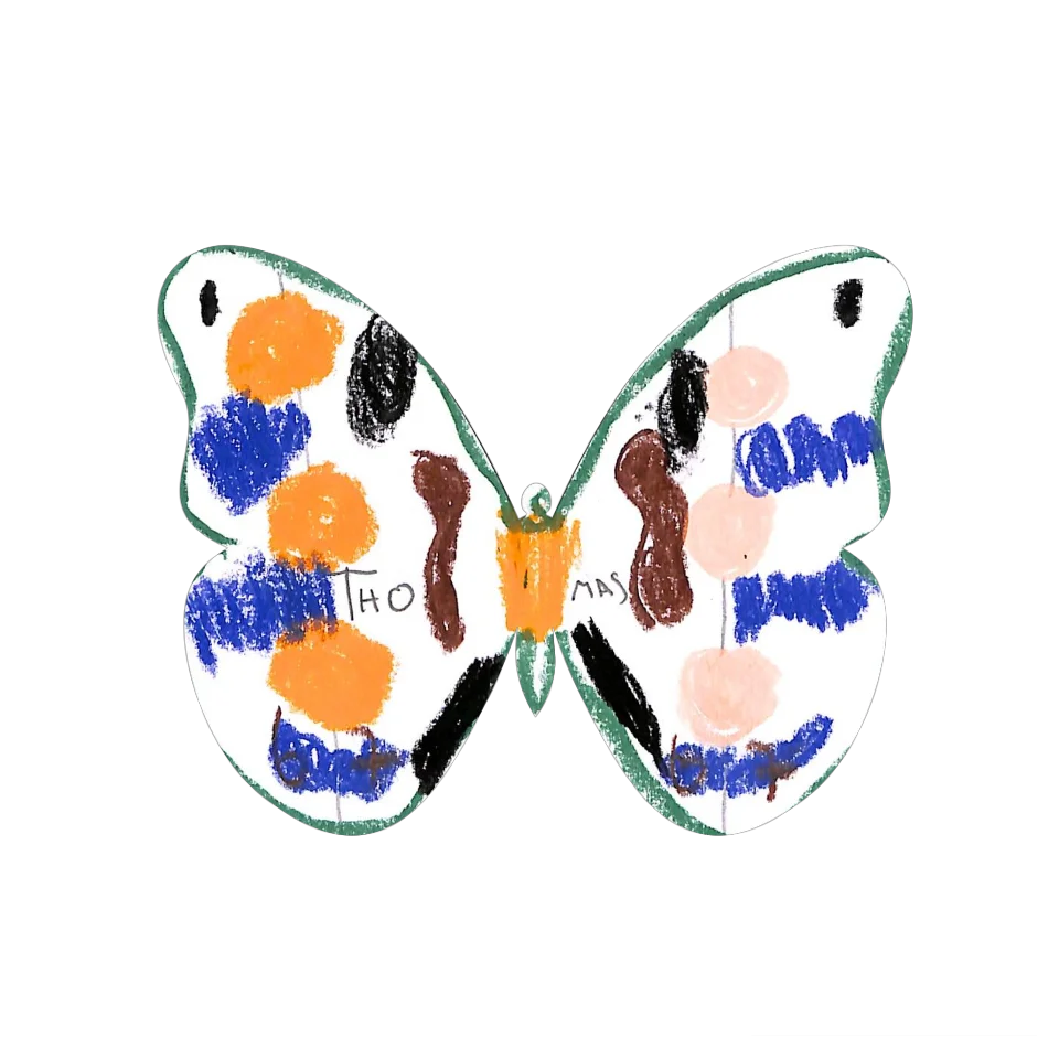 Original Butterfly Image