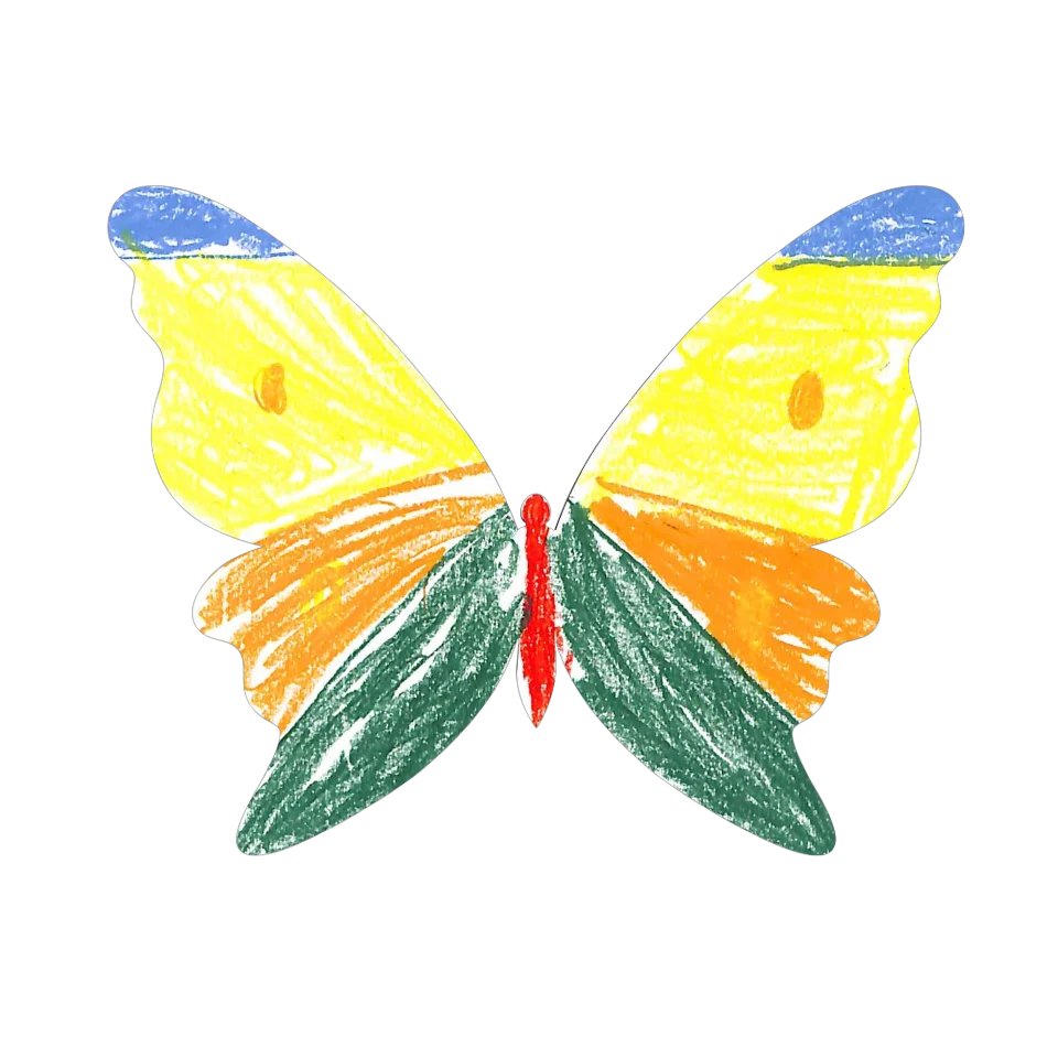 Original Butterfly Image