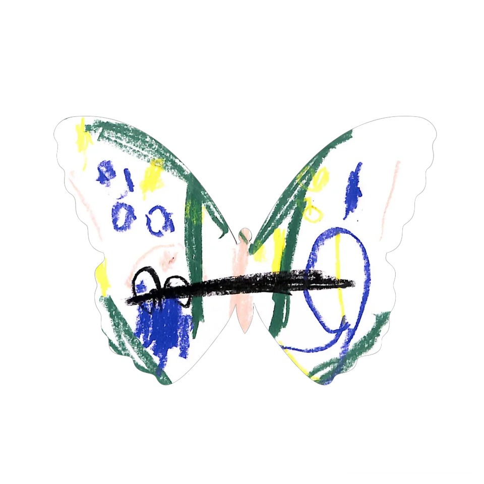 Original Butterfly Image