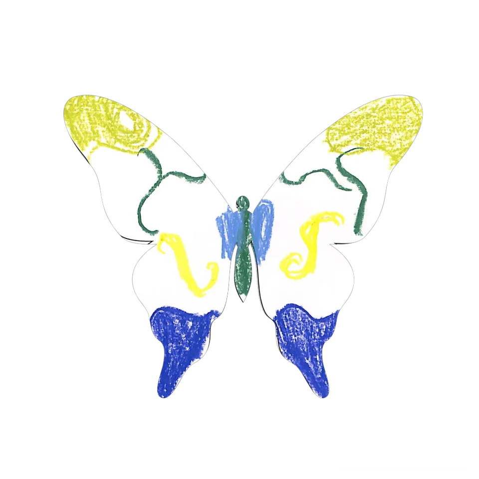 Original Butterfly Image