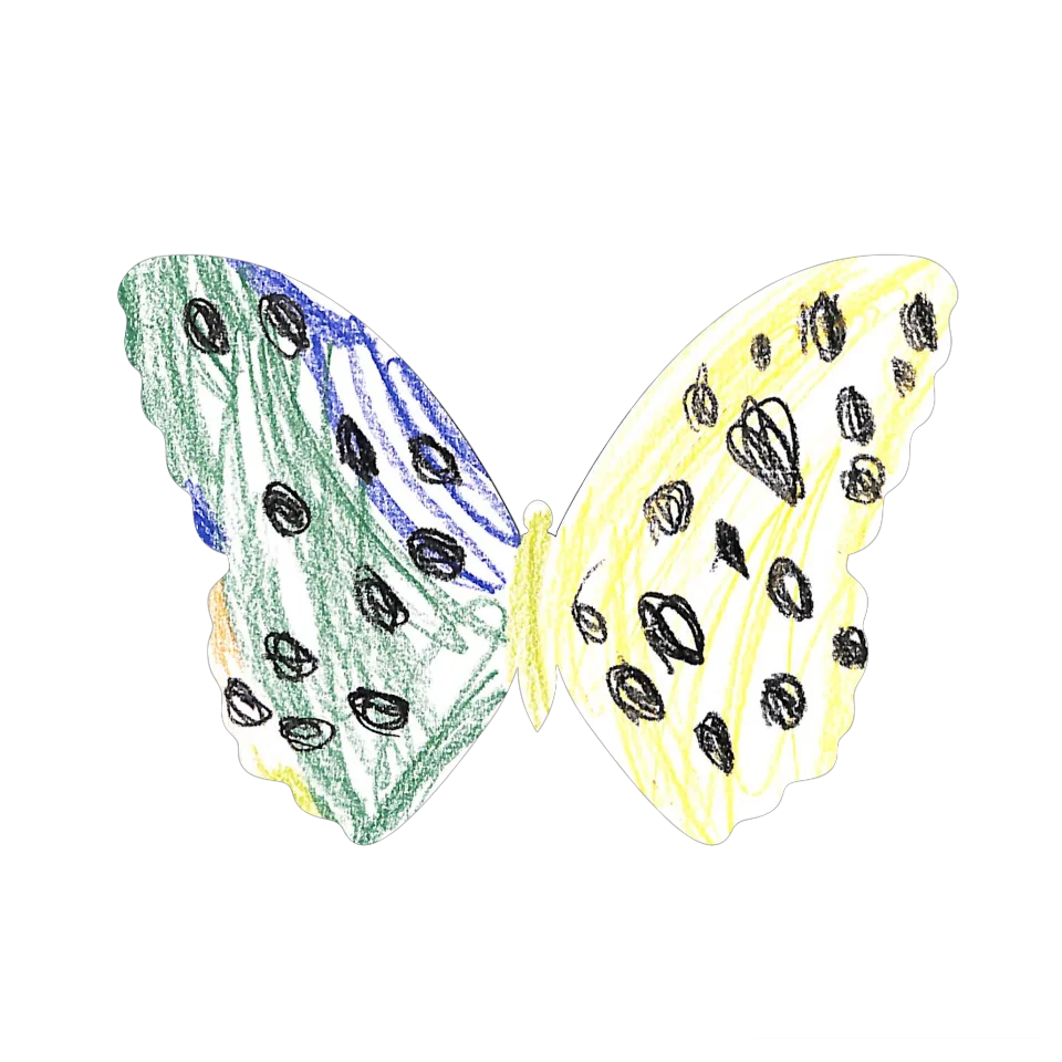 Original Butterfly Image