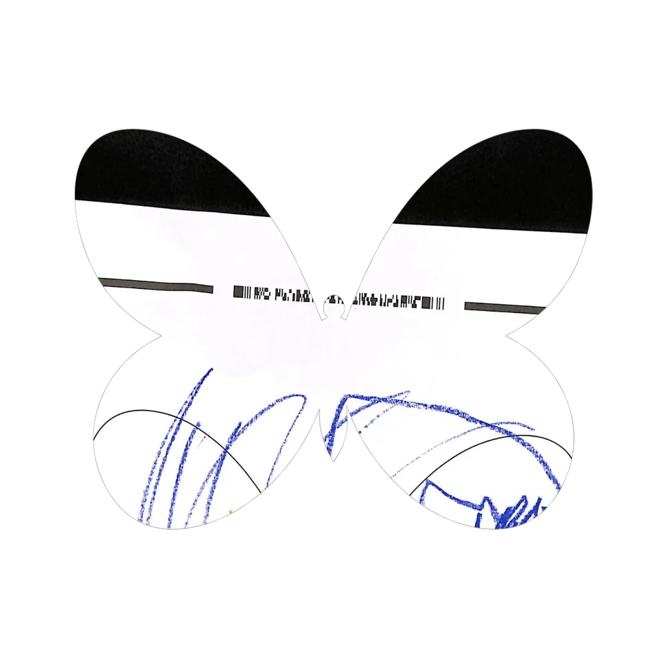 Original Butterfly Image