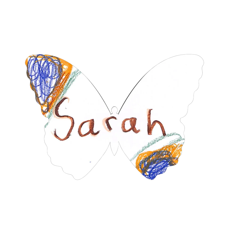 Original Butterfly Image