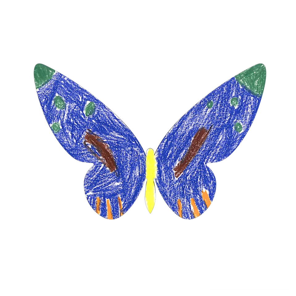 Original Butterfly Image
