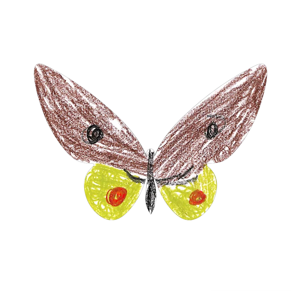 Original Butterfly Image