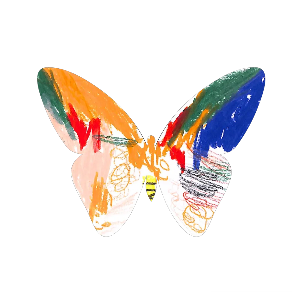 Original Butterfly Image