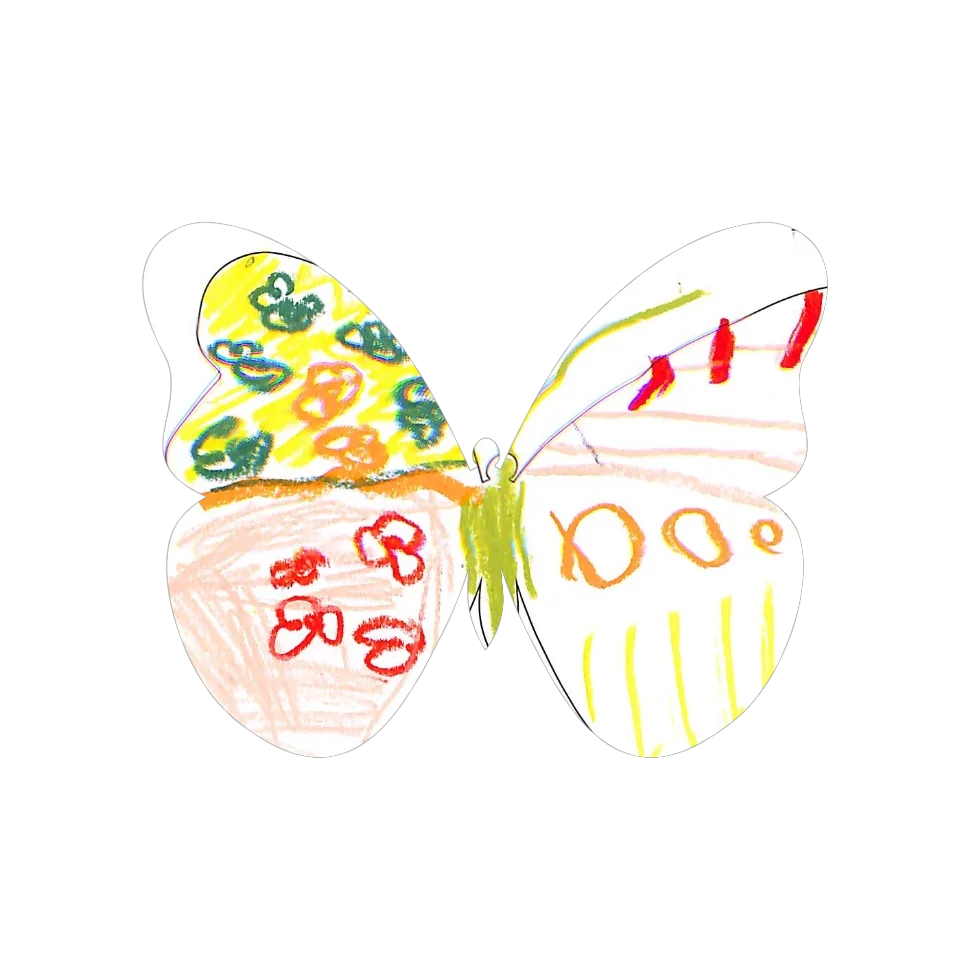 Original Butterfly Image