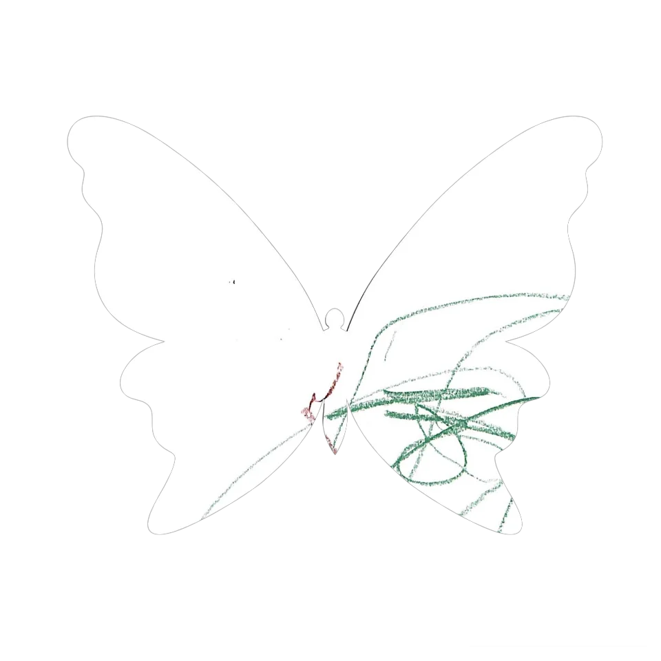 Original Butterfly Image