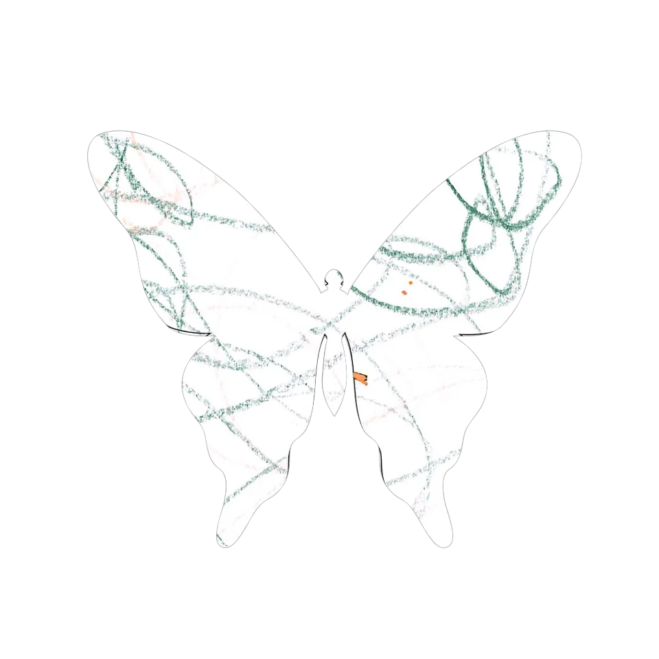 Original Butterfly Image