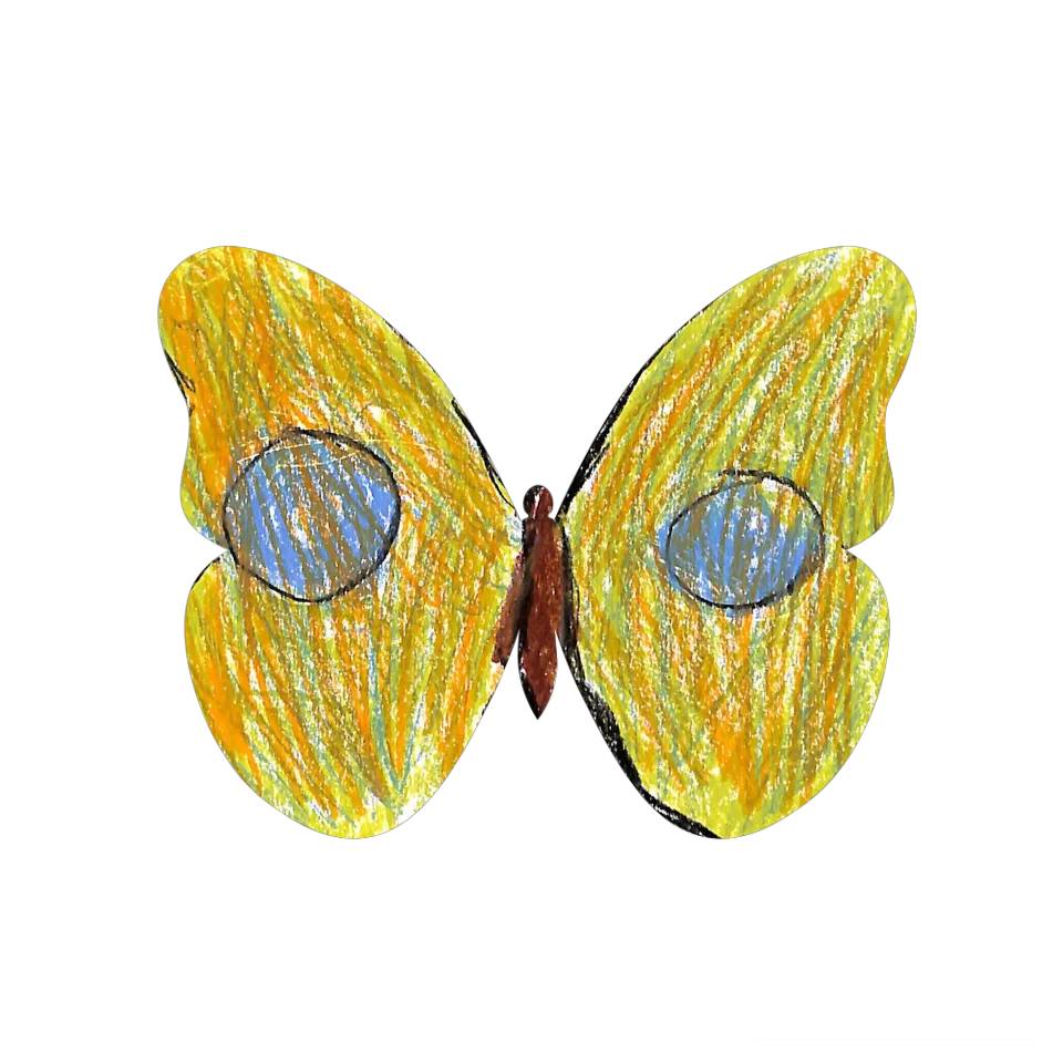 Original Butterfly Image