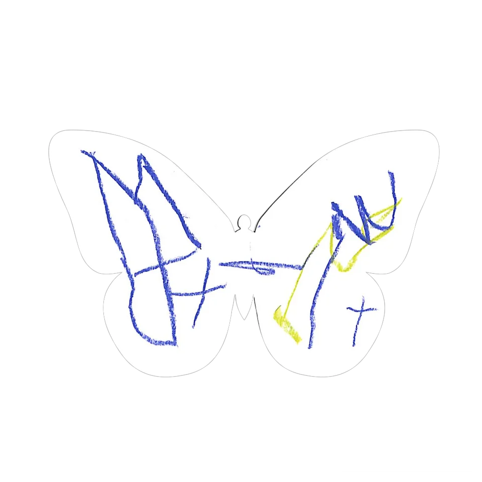 Original Butterfly Image