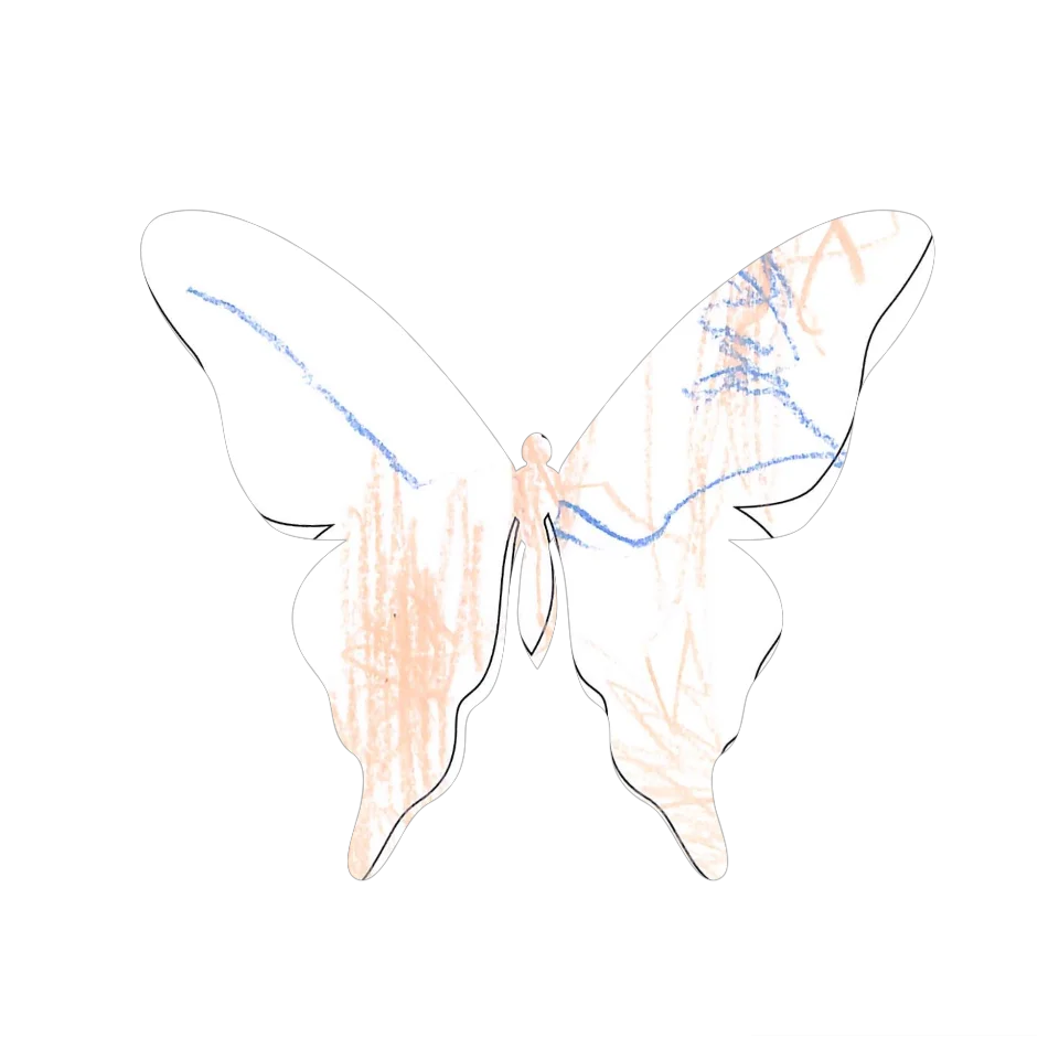 Original Butterfly Image
