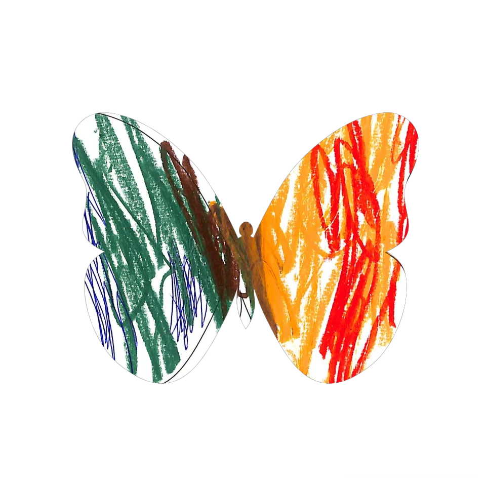 Original Butterfly Image