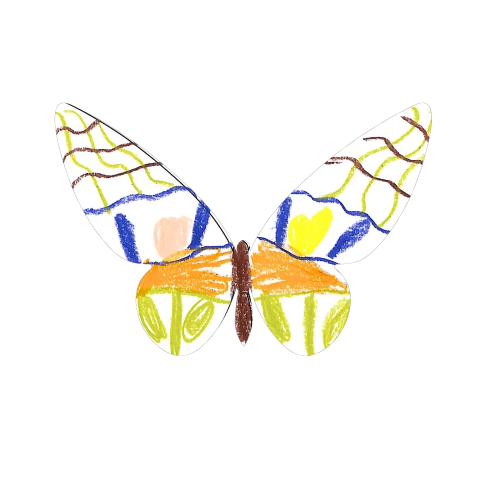 Original Butterfly Image