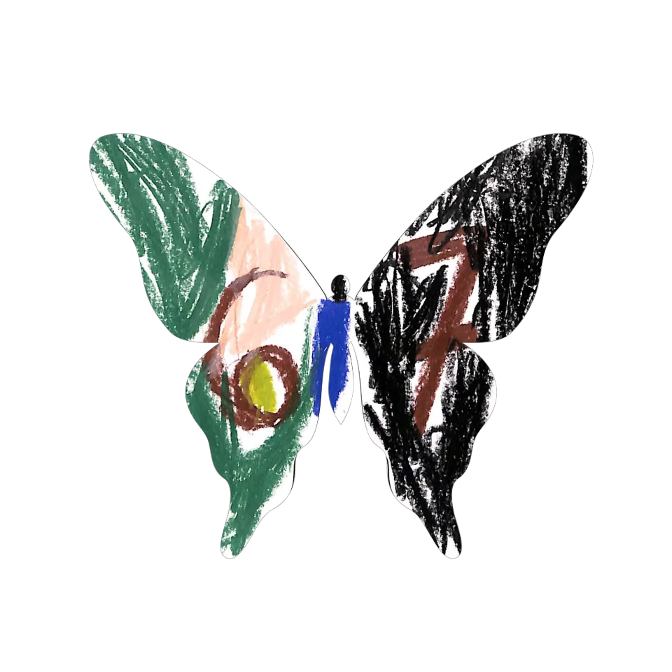 Original Butterfly Image