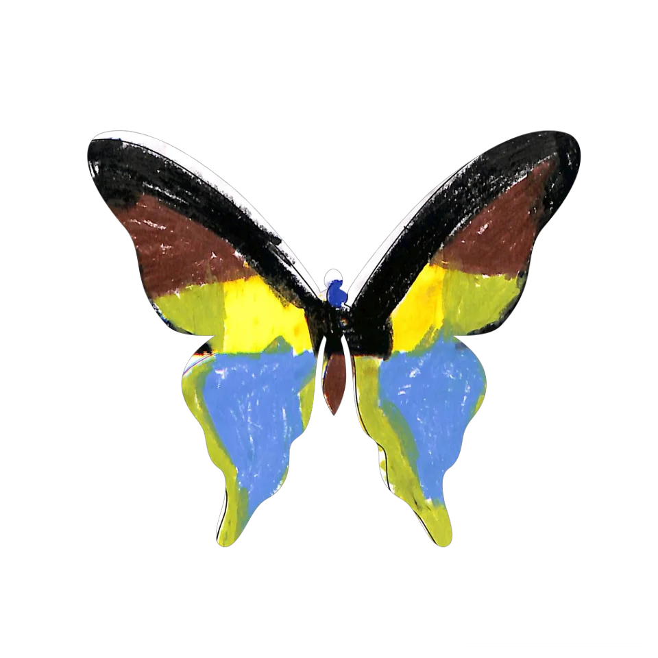 Original Butterfly Image