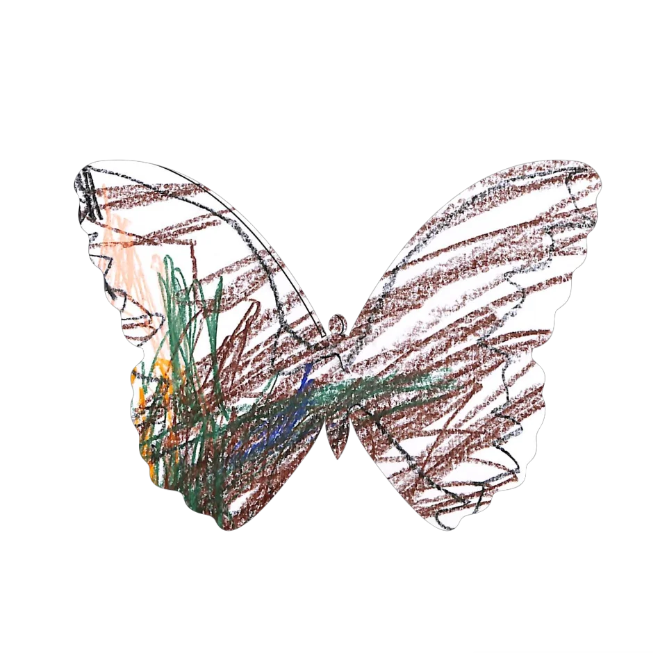 Original Butterfly Image