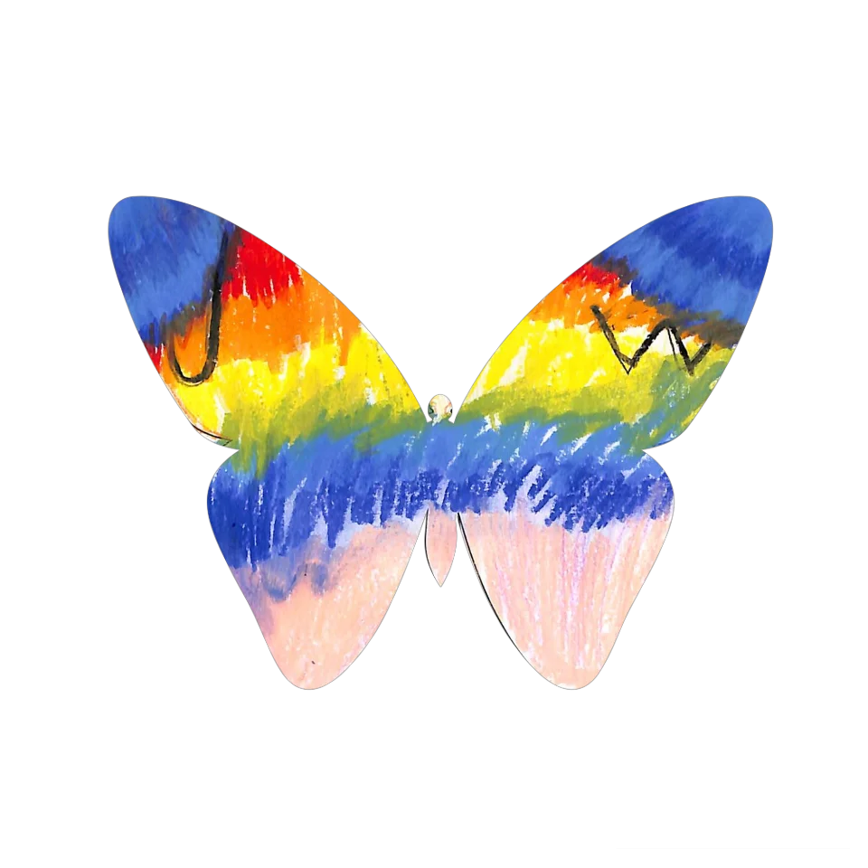 Original Butterfly Image