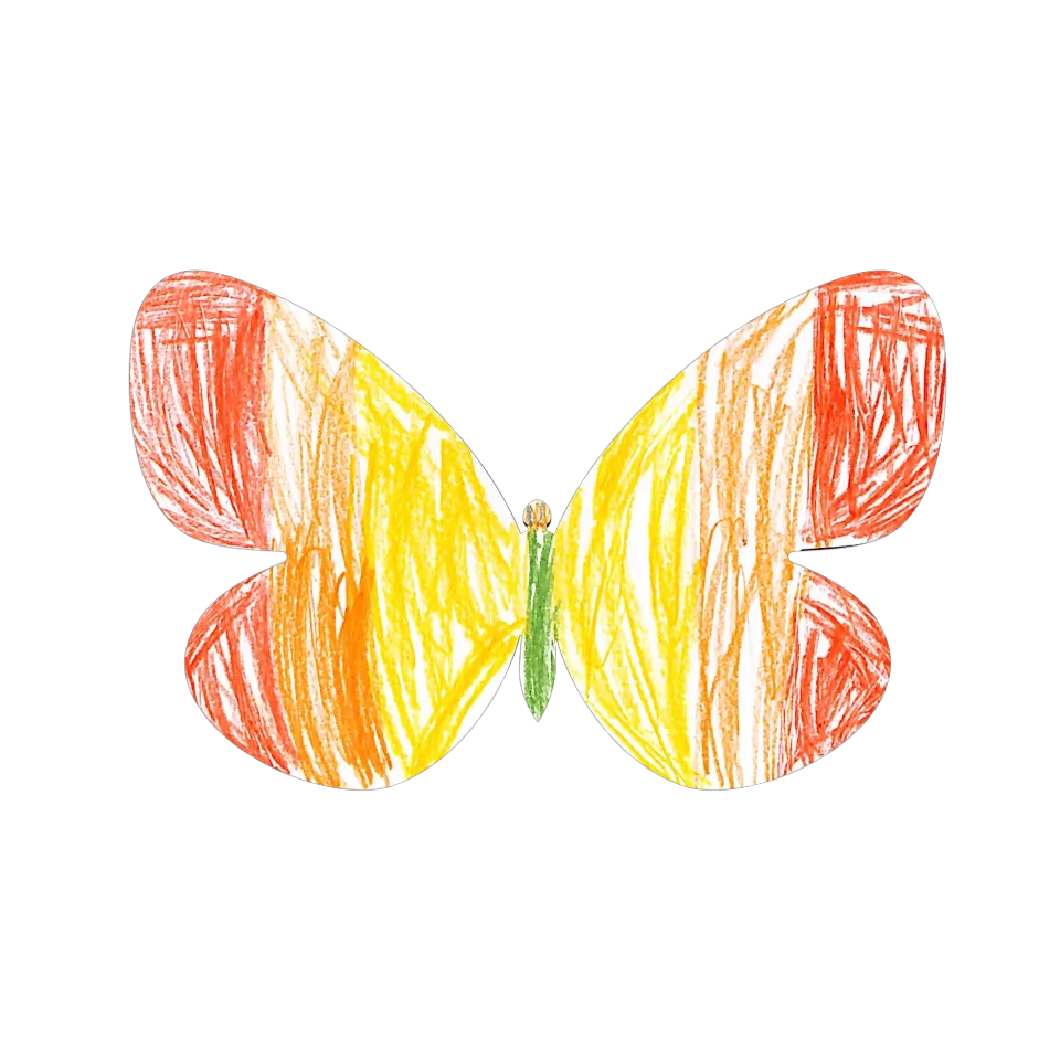 Original Butterfly Image