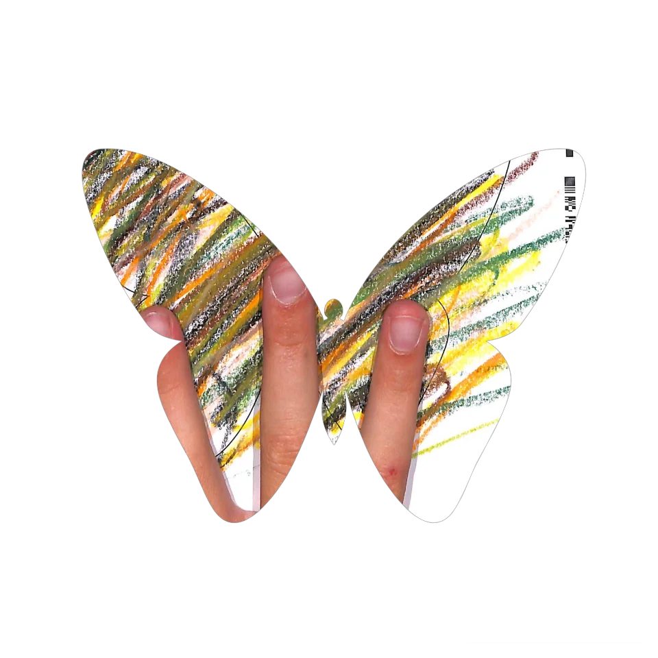 Original Butterfly Image