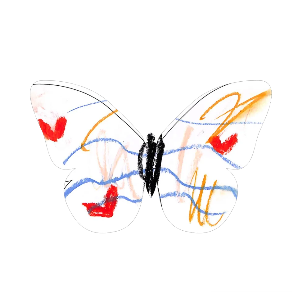 Original Butterfly Image