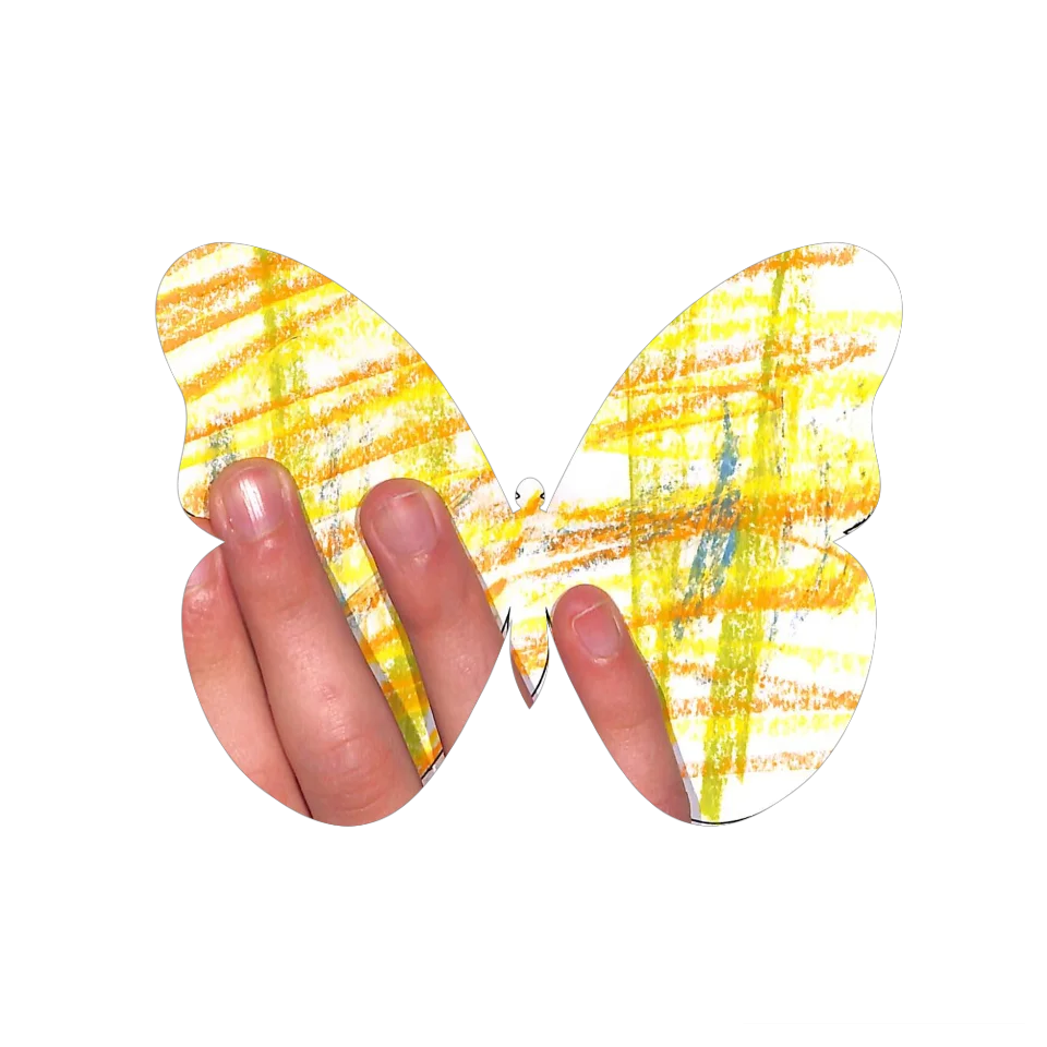 Original Butterfly Image