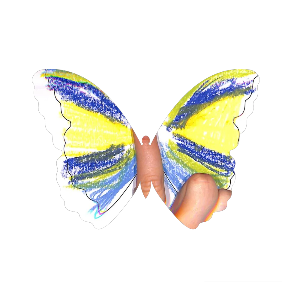 Original Butterfly Image