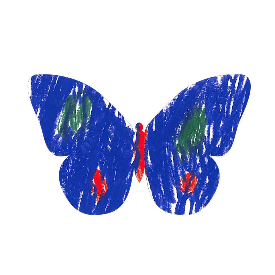 Original Butterfly Image