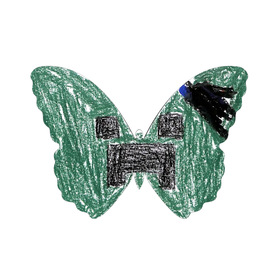 Original Butterfly Image
