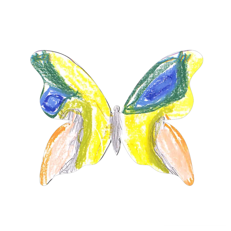 Original Butterfly Image