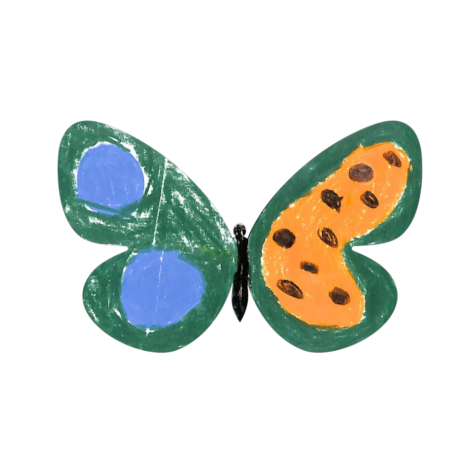 Original Butterfly Image