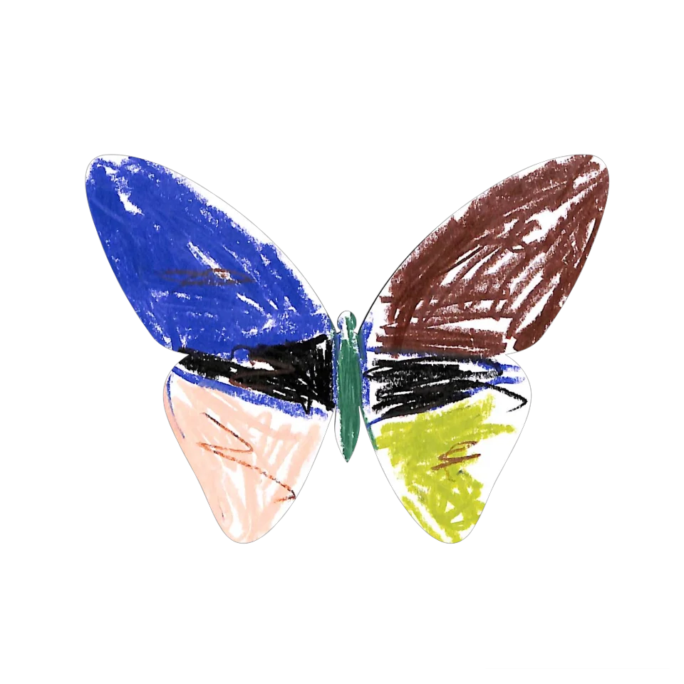 Original Butterfly Image