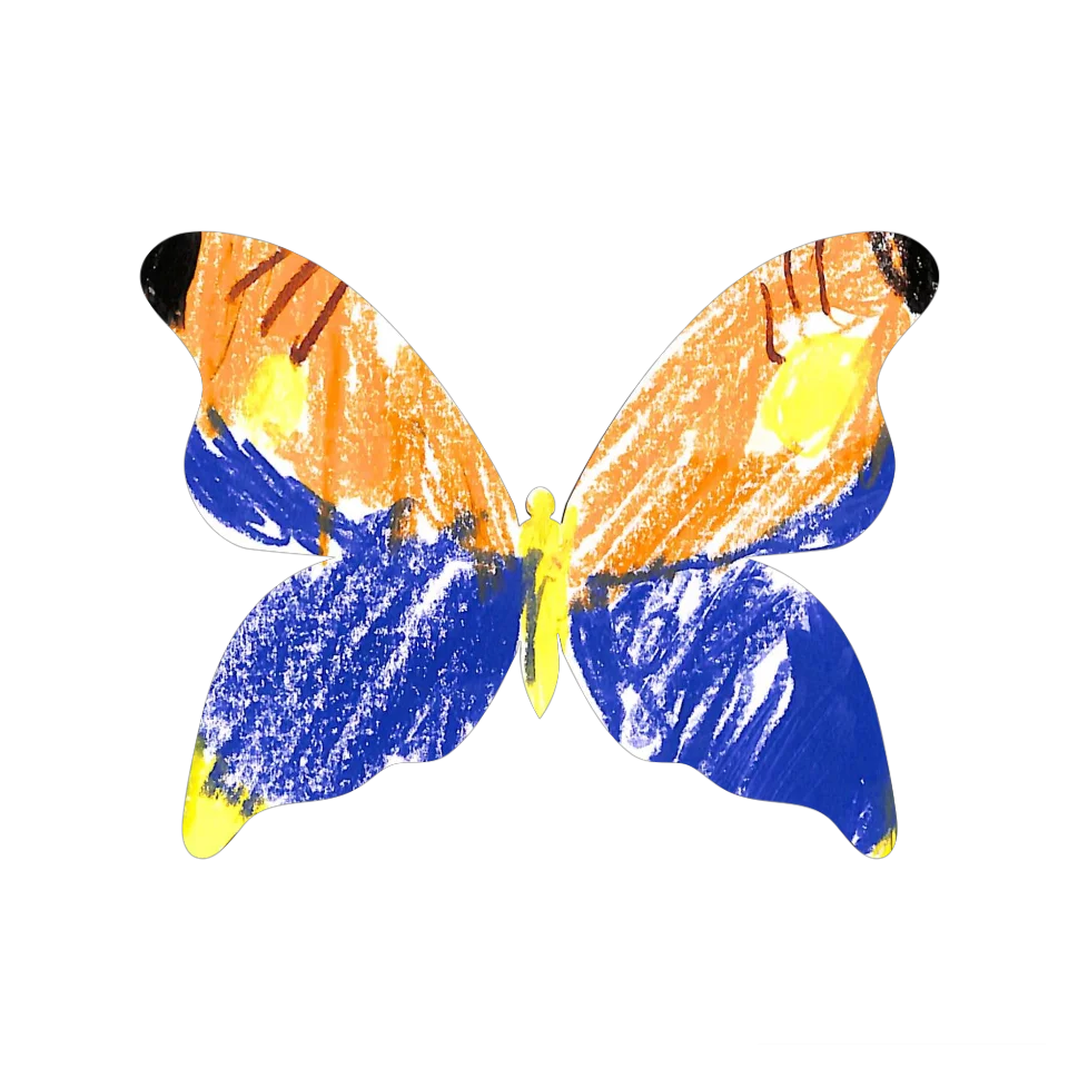 Original Butterfly Image