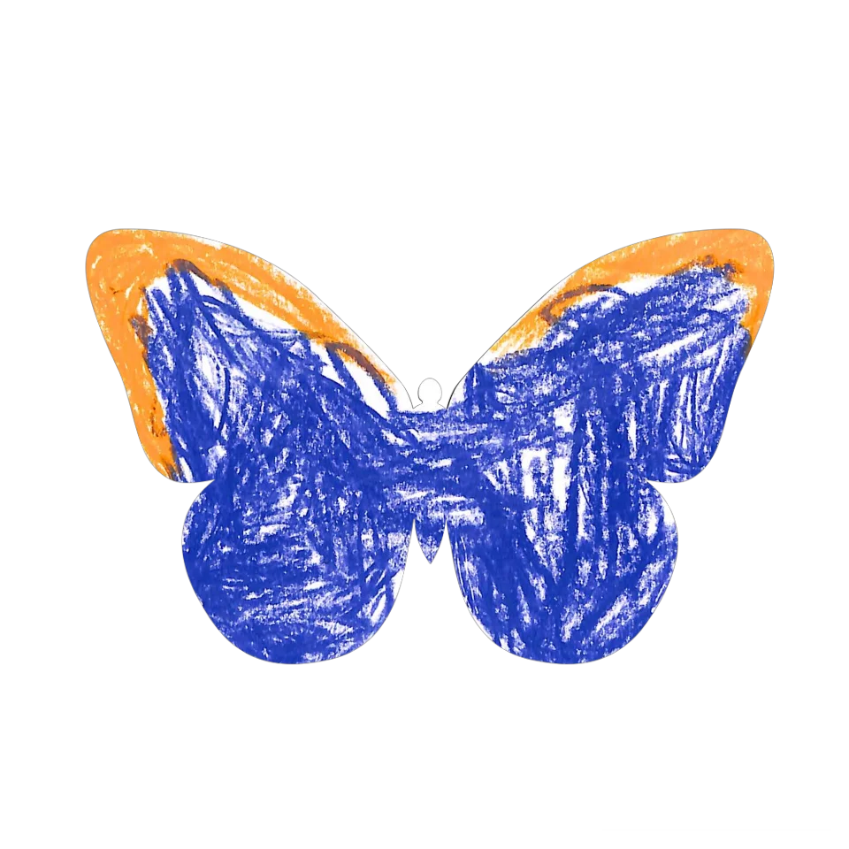 Original Butterfly Image